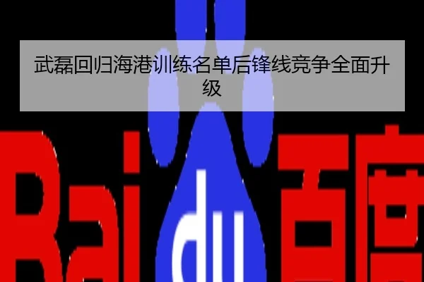 武磊回归海港训练名单后锋线竞争全面升级